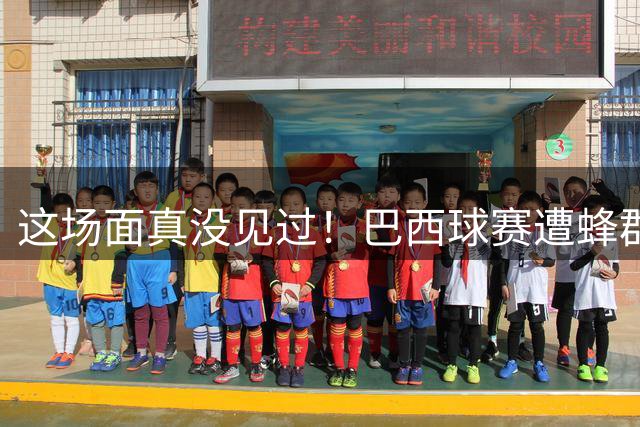 这场面真没见过！巴西球赛遭蜂群袭击，球员、裁判集体趴倒躲避